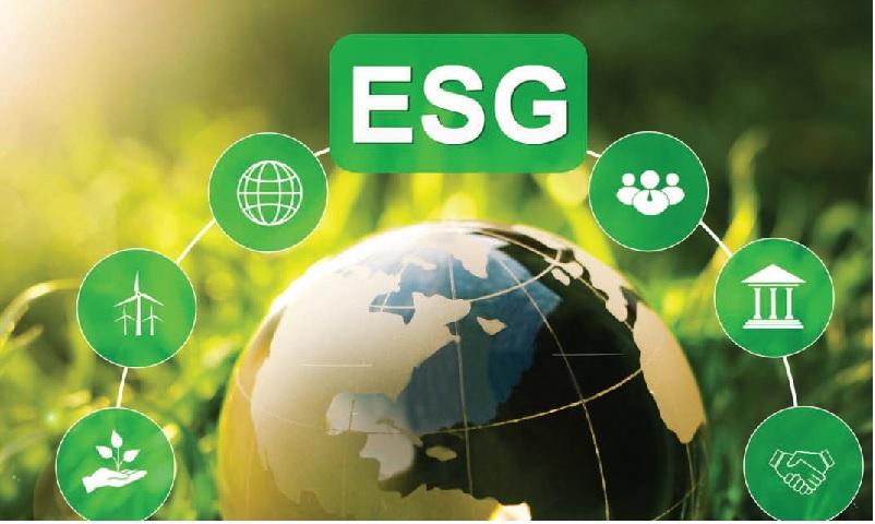 Should You Invest in ESG Funds