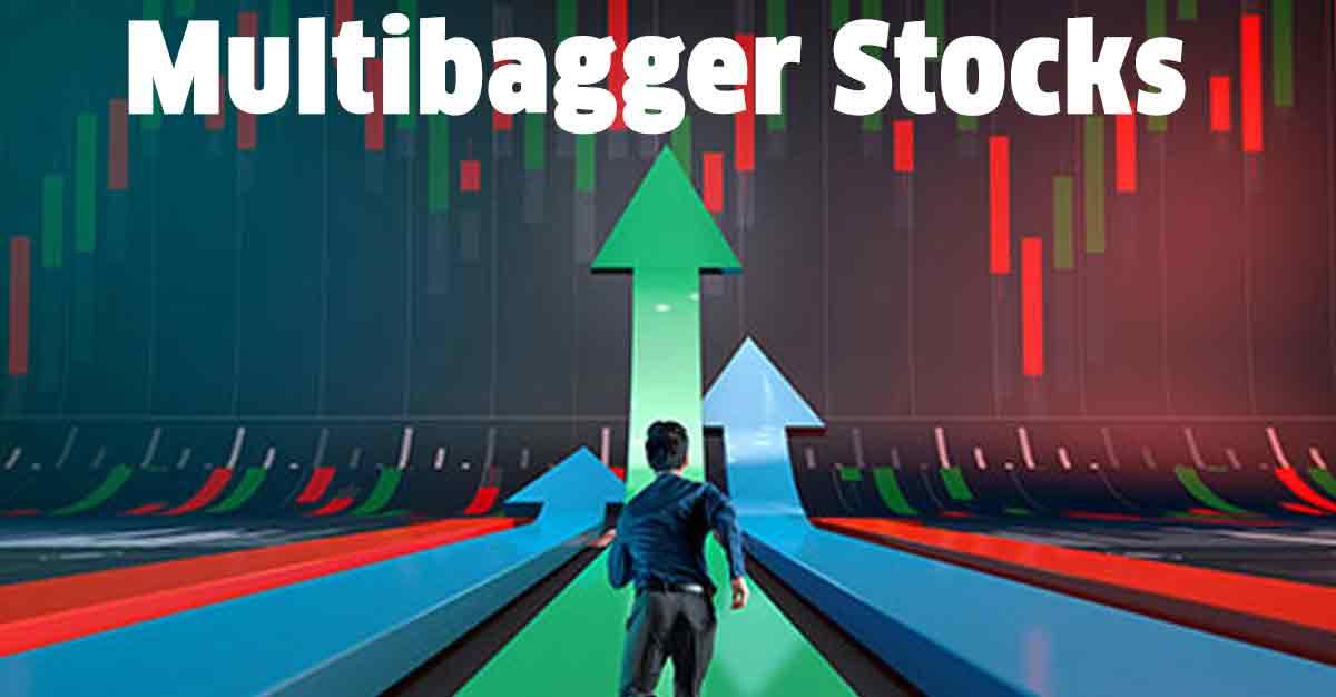 Micro-cap double win: Low PE multibagger IT stock secures Rs 9,06,24,000 order and bags major project extension!