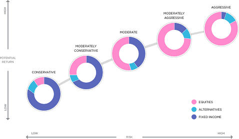 Constructing a wining portfolio for next five year
