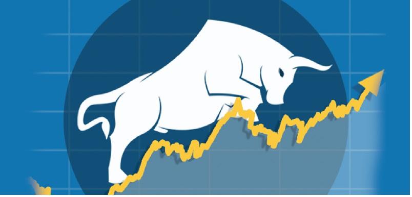 Sectoral Resilience Boosts Domestic Indices to Higher Levels