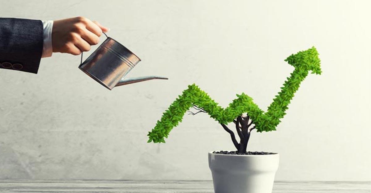 Decoding the investment maze: Multi-Cap vs. Flexi-Cap Funds - Embarking on the right journey for your financial dreams