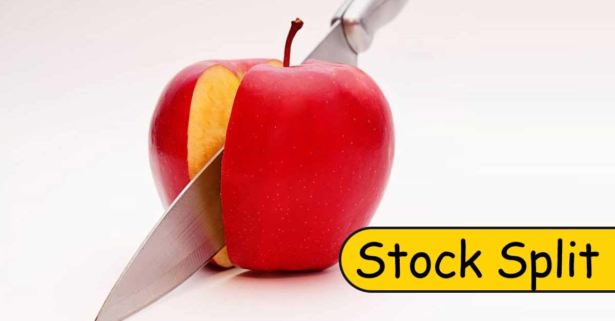 Multibagger in just 6 months & promoters increase stake; Stock hit upper circuits & 52-week highs as company bags new order from a PSU company & announce stock split!