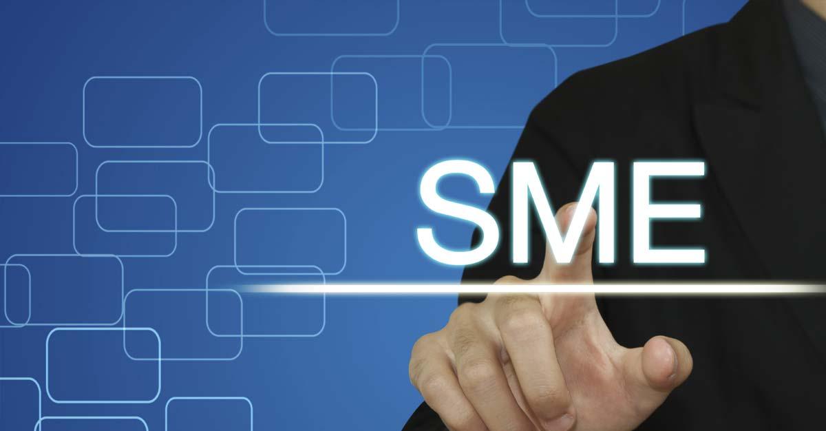 SME Small-cap: The Board of Directors approved the preferential issue of up to 7,08,600 equity shares; Green energy stock with multibagger returns in 1 year!