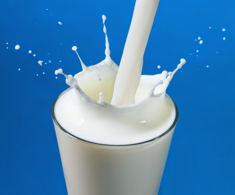 Parag Milk Foods expands footprint in North India