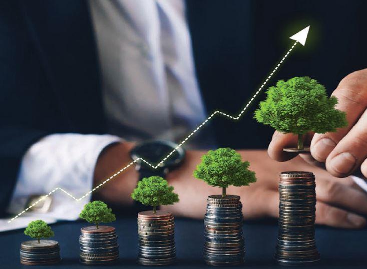 How Good Are The Blue Chip Funds?