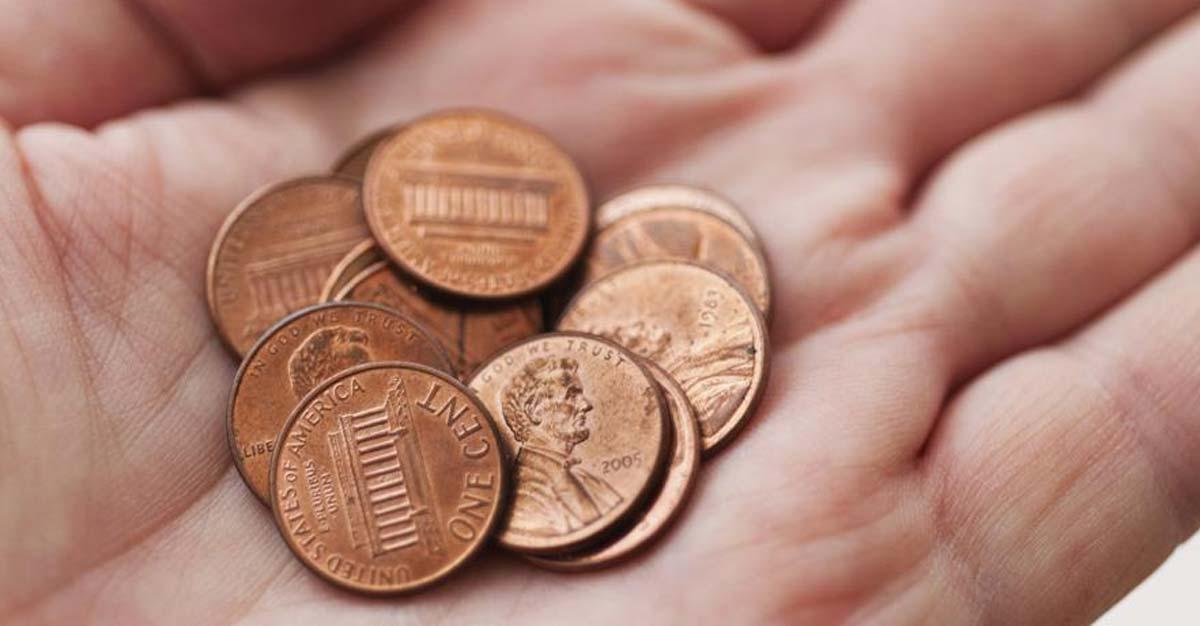 Multibagger penny stock under Rs 25: This micro-cap company bags new orders worth Rs 20 crore from Skytone Foods and Anumati Trading