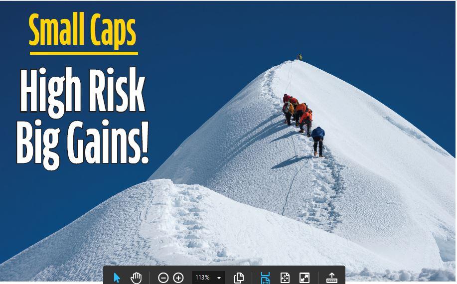 Small Caps High Risk Big Gains!