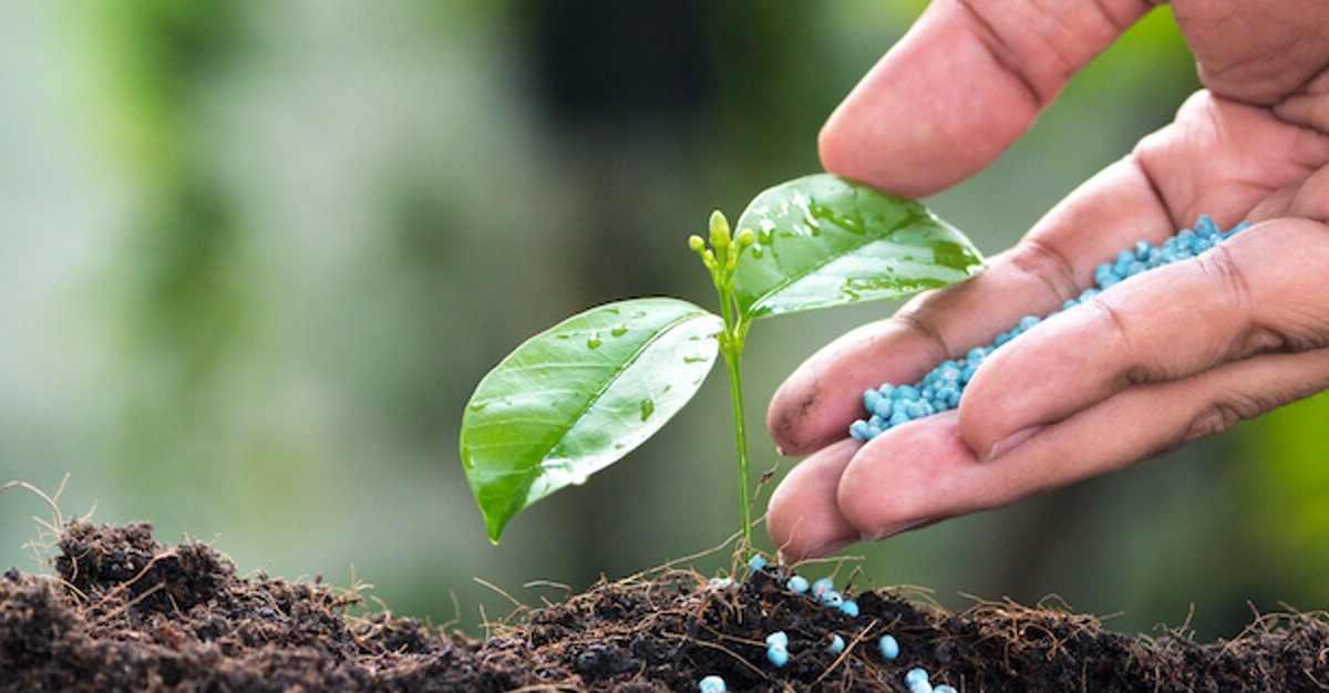 Multibagger PSU Fertilizer Stock to Keep on Radar Before Tomorrow's Budget; Stock Rallied Over 10 per cent Today!