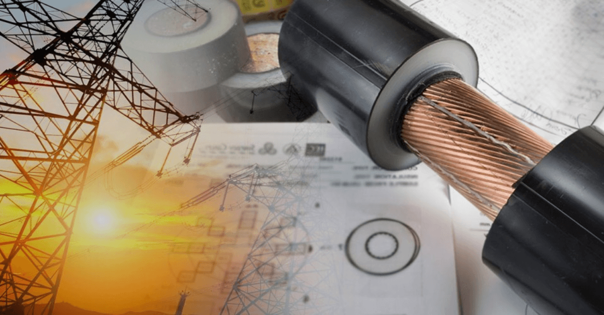Ashish Kacholia bought 2,88,185 shares & Rs 209.60 crore order book: Cable company incorporates a new subsidiary for Green Ammonia, Green Hydrogen & Green Methanol projects!