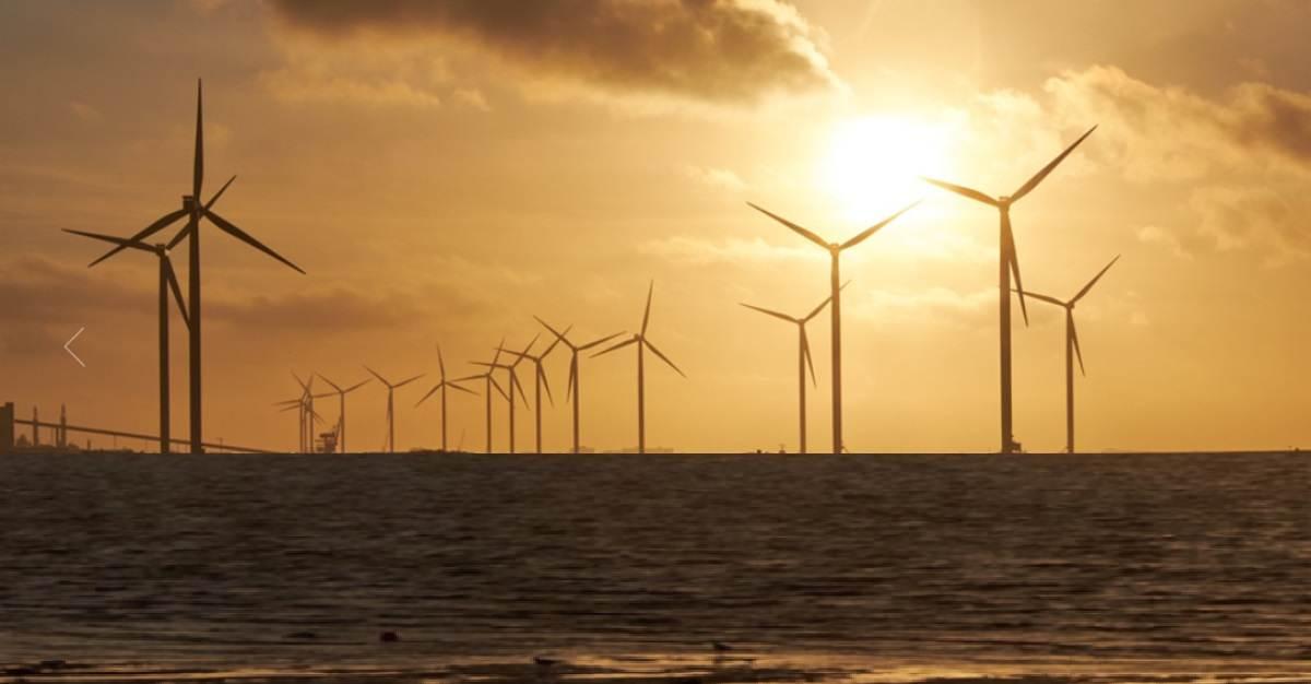 1:5 Rights Issue: Wind Power Generation Company’s Rs 48.30 crore Issue Oversubscribed by 1.59 Times; FIIs Bought 3,09,126 Shares!