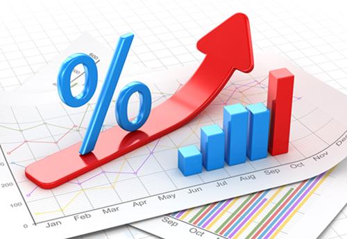 Investing in rising interest rate scenario