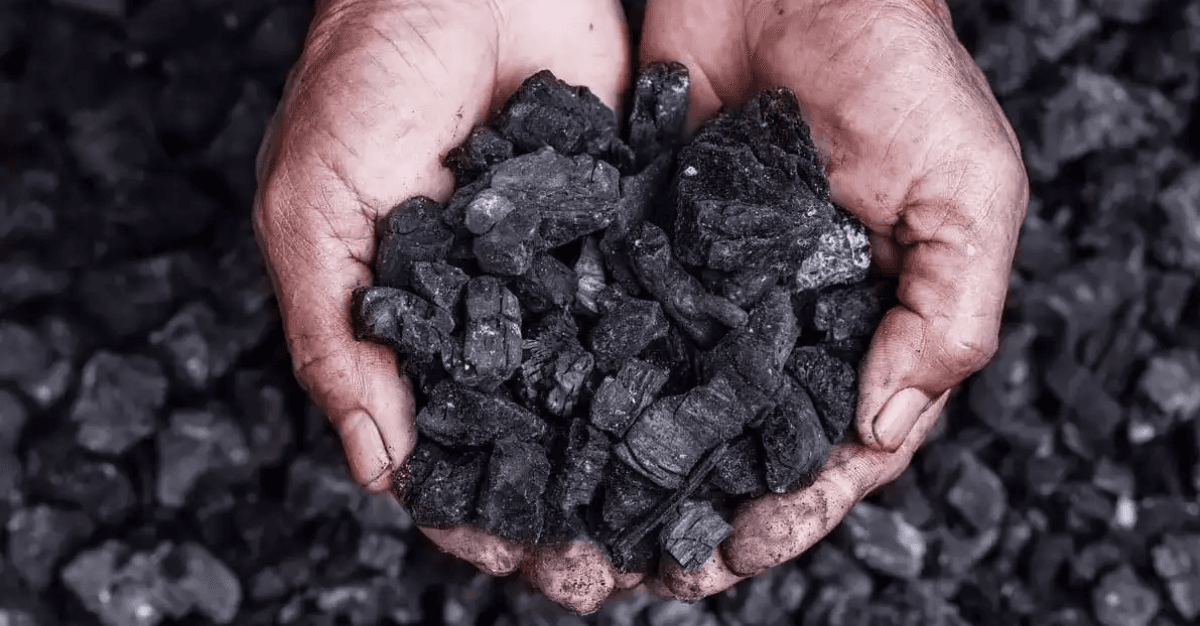 Rs 222 Crore Order Book: Coal Mining Company Bags New Order of Rs 1,000.84 Lakh From Coal India Ltd