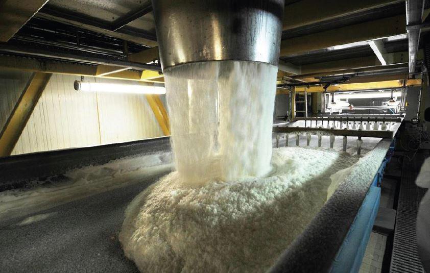 What Is Buzzing For The Sugar Stocks?