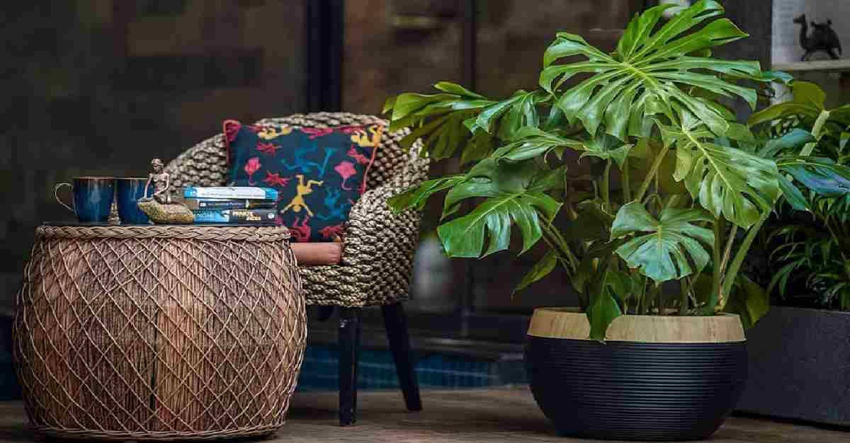 Under Rs 100: Microcap Company Secures Multiple Orders Worth Rs 86.61 Lakh from Mumbai and Mangaluru International Airports – Stock Surges 90 Per cent in 6 Months!