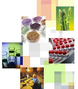 Bhageria Industries to incur capex of Rs. 100 crore