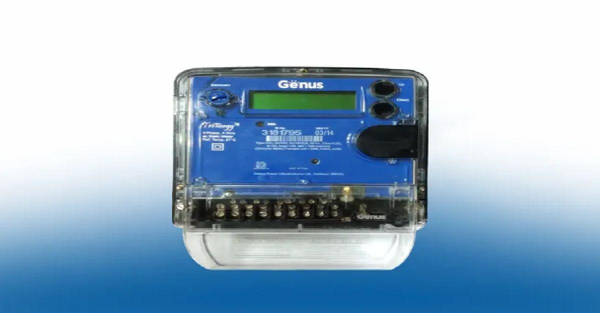 FIIs & DIIs Increase Stake: Smart Metering Solutions Provider Signs MoU with Government of Rajasthan for 1,000 MW Ultra Mega Solar Park Project