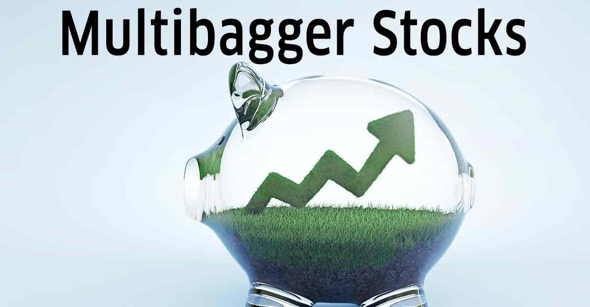 India’s Most Expensive Stock Posts Stellar Q2: 150 Per Cent Revenue Jump, 179 Per Cent Profit Surge! Trading Below Book Value