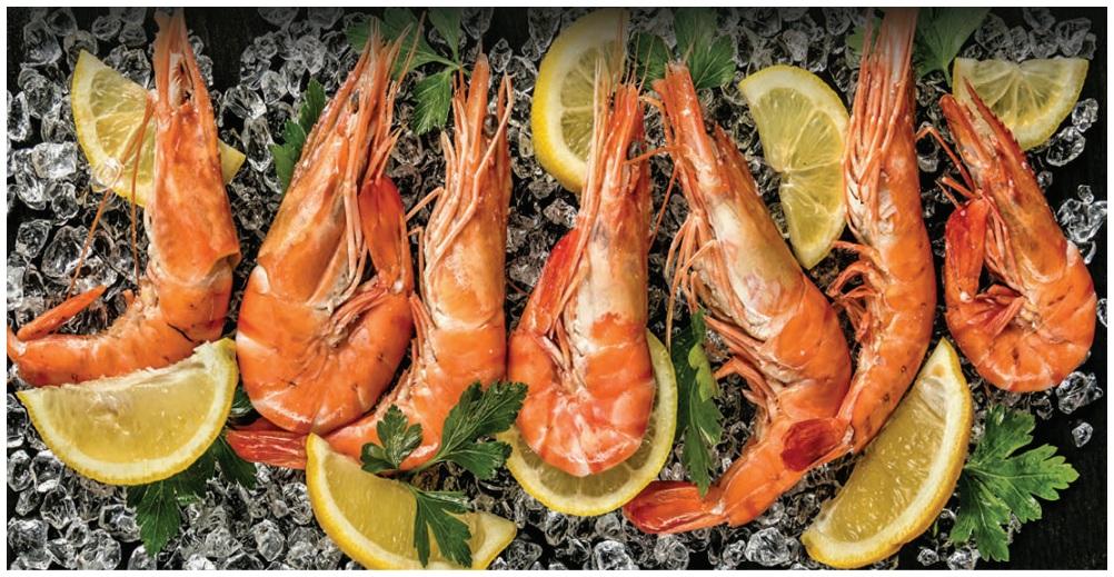 Shrimp Stocks: Losing Their Flavour