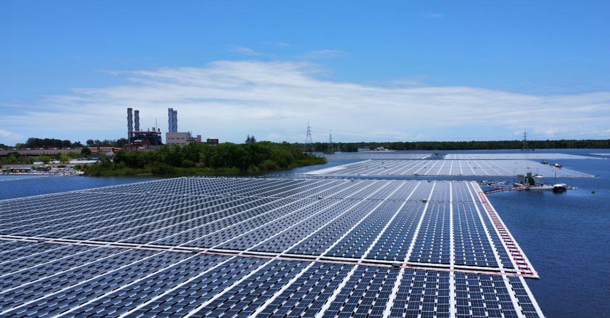 10:1 Stock Split: Ashish Kacholia-Backed Solar Energy Stock Jumps After Signing Rs 10,000 Crore MoU in Rising Rajasthan Global Investment Summit 2024