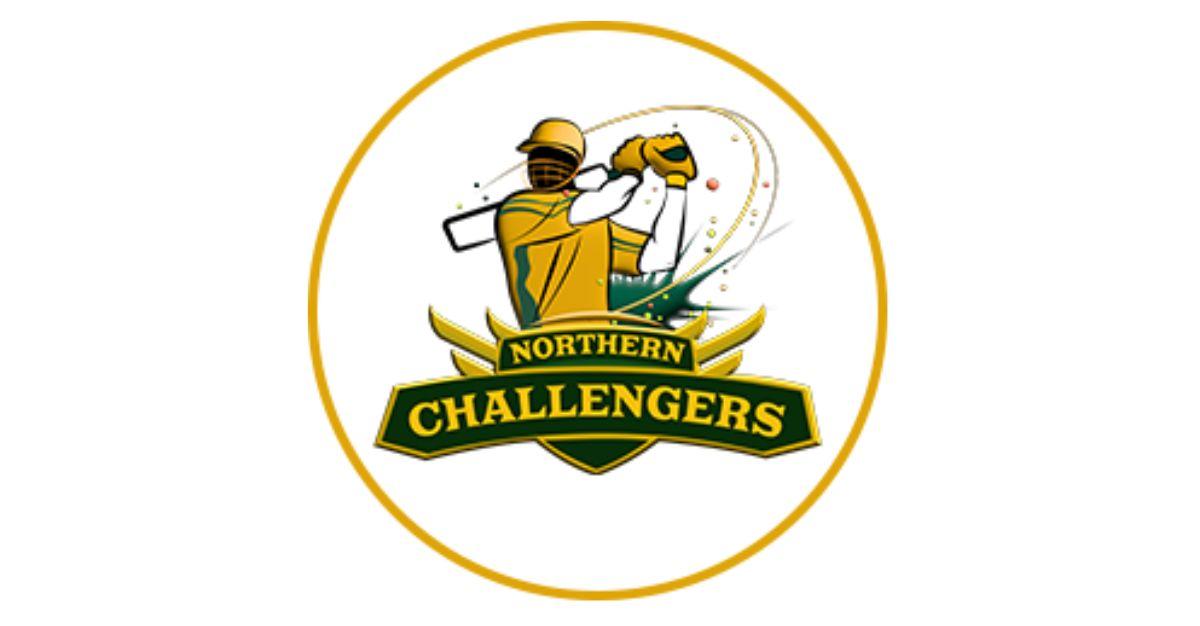 Multibagger Penny Stock Under Rs 25: Company Partners With Big Cricket League Acquires Northern Challengers Team