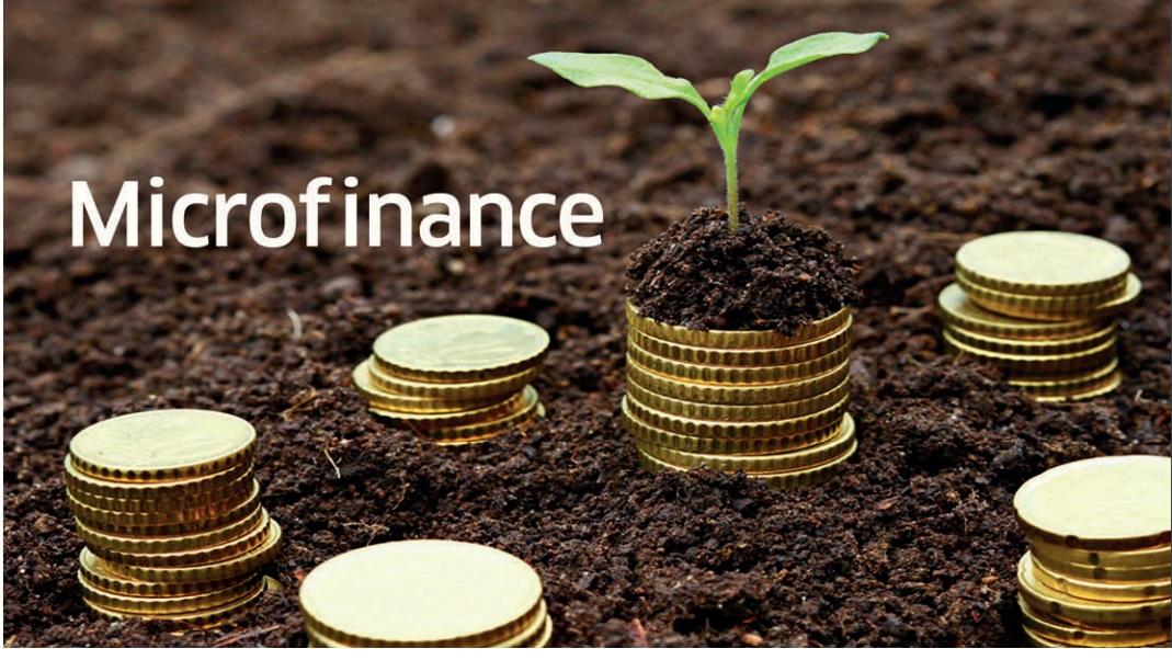 Microfinance: Falling Short Of Its Promise?