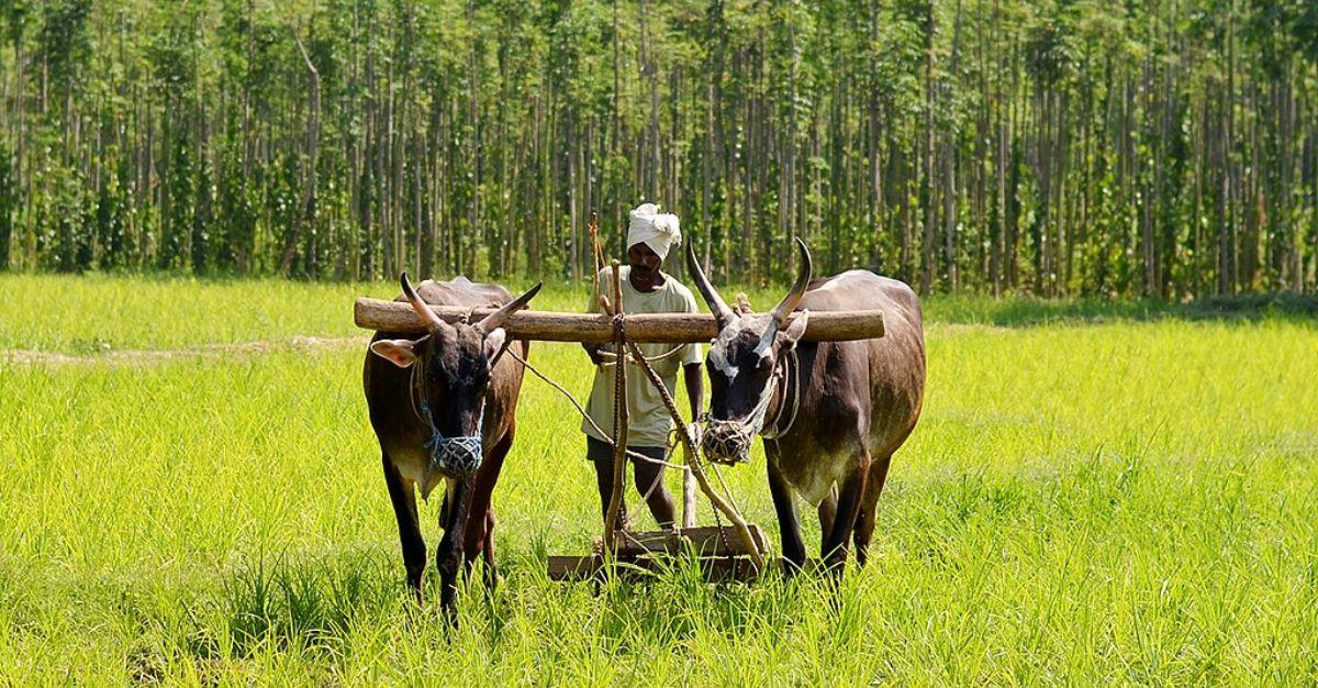 Farmers in focus: Budget-driven investment opportunities in agriculture