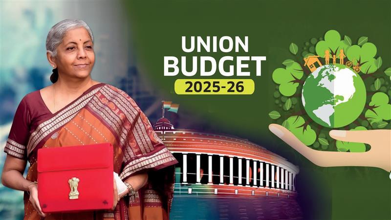 Will Union Budget 2025 Promote Another Green Revolution?