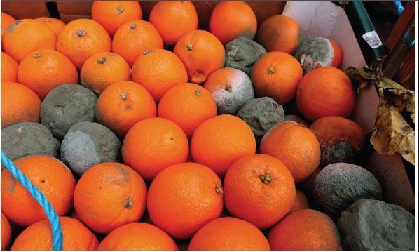 Too Many Stocks Spoil Your Portfolio?