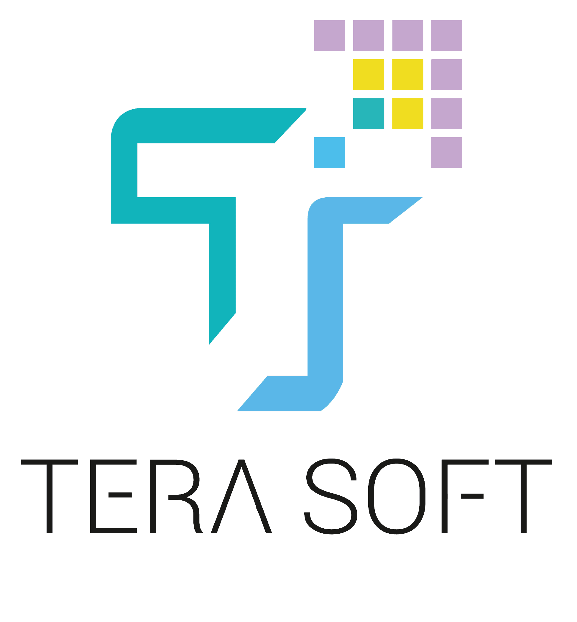 Tera Software bags Smart city order