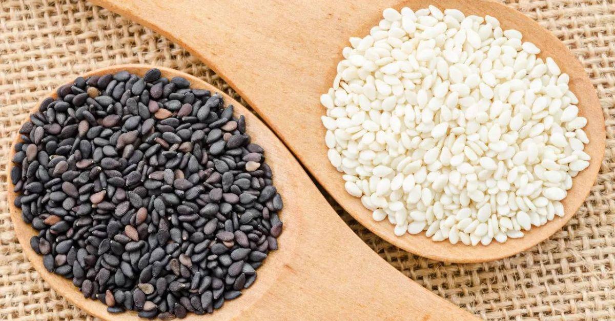 Penny stock under Rs 15: Company bags new order worth Rs 8,50,00,000 from Korea Agro-Fisheries & Food Corporation, South Korea