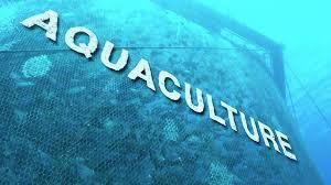 Aquaculture receives FM's attention, Avanti Feed, Waterbase soar
