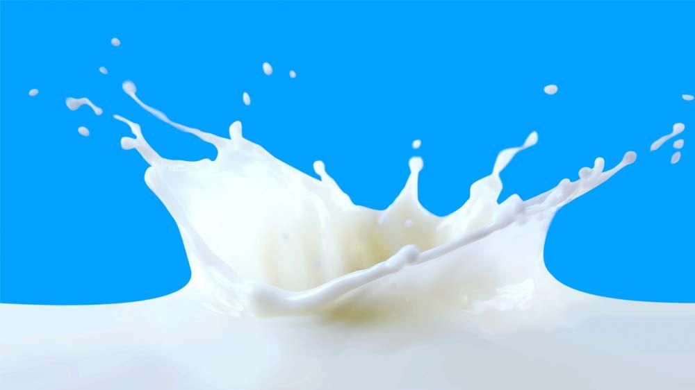 ITC spikes on plans to expand dairy segment