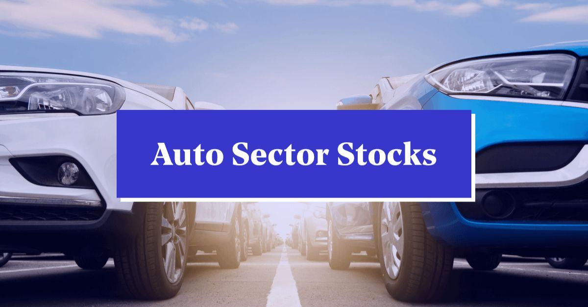 1,000 Per Cent Returns: Multibagger Auto Company Acquired 51.01 Per Cent Stake in Astro Motors Pvt Ltd