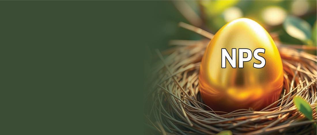 Building a Retirement Nest with NPS