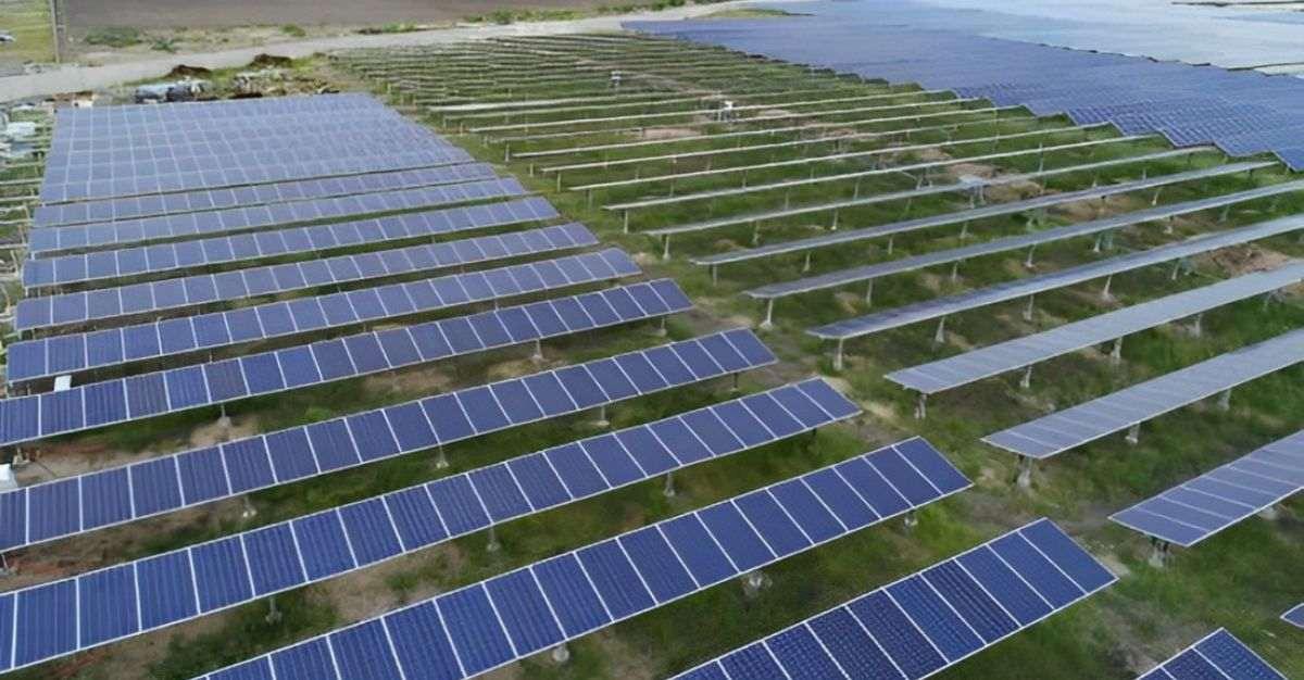 Solar Company Commissions First Phase of 52.5 MW Out of 300 MW Acme ...