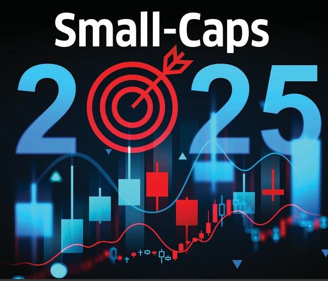 Small-Cap Investing in Turbulent Times : Why the Governance Test Is Non-Negotiable