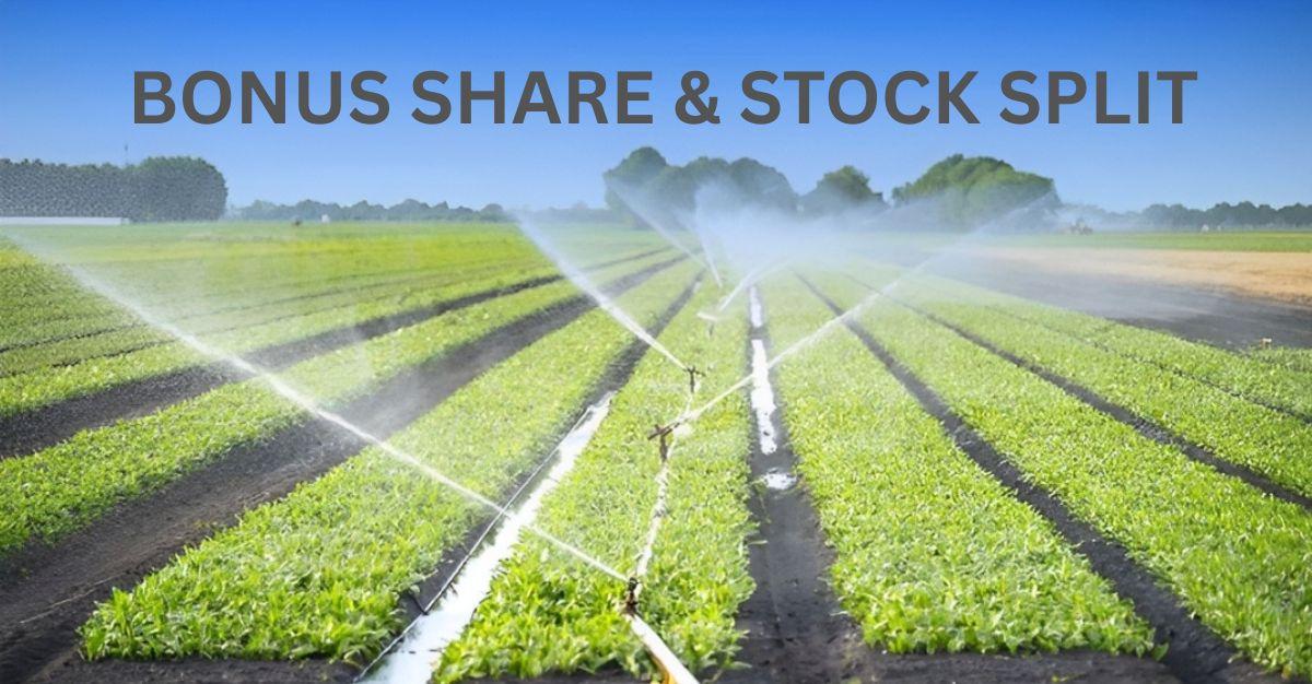 Double Dhamaka! 1:1 Bonus Share & 1:5 Stock Split: Debt-Free Multibagger Stock Hit 52-Week High & Rockets 7,000% in 5 Years