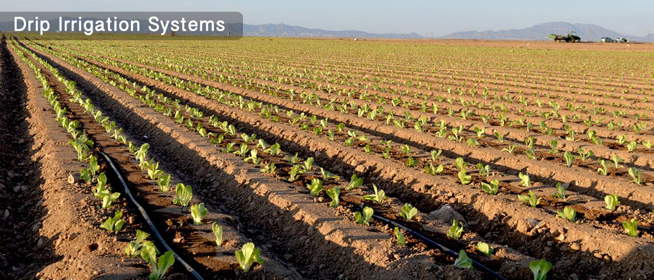 Jain Irrigation secures orders worth Rs. 584 crore