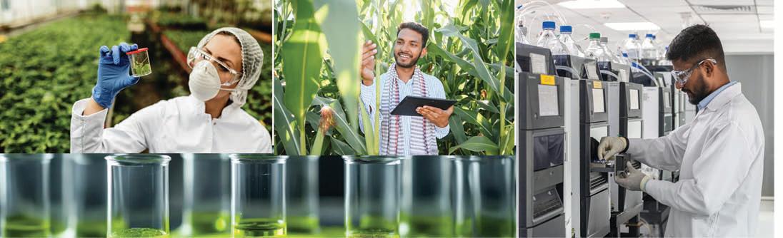 PI Industries Limited