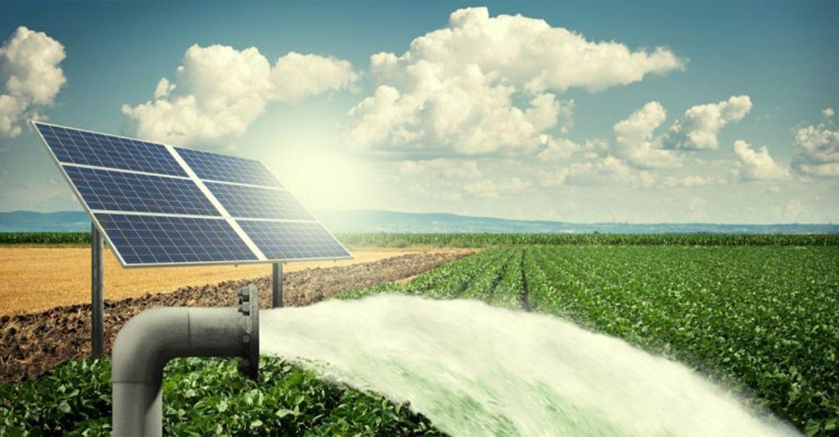 Solar water pumps company receives order worth Rs 4,24,00,000 from Madhya Pradesh Urja Vikas Nigam Ltd