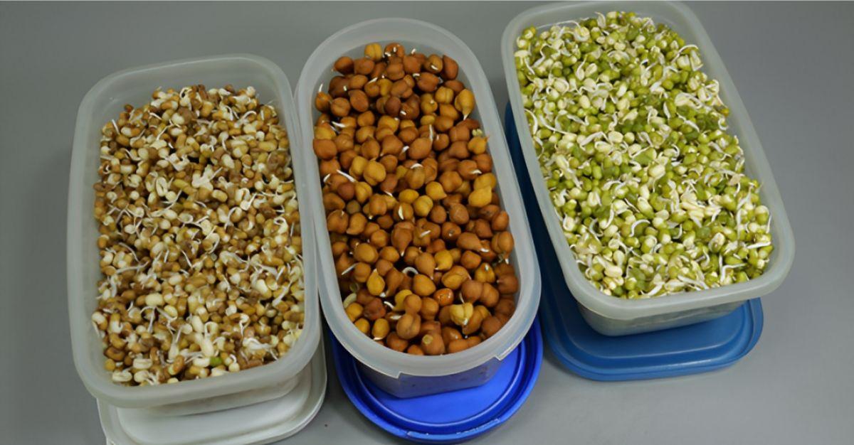 Multibagger stock under Rs 60 hit upper circuit after receiving an order worth Rs 1,00,00,000 from HDL Foods India Pvt Ltd