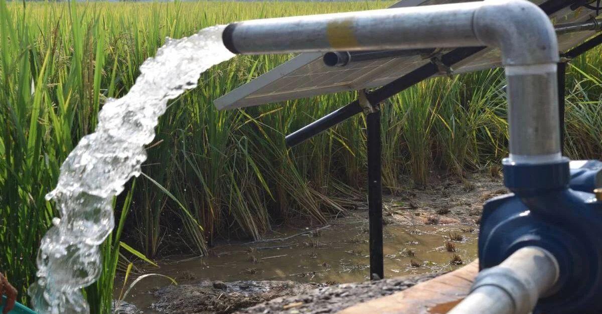 Penny Stock Below Rs 20 Jumps After Receiving Order Worth Rs 442,79,92,121.11 from Chief Engineer Office, Irrigation, Generation, Water Resources Department