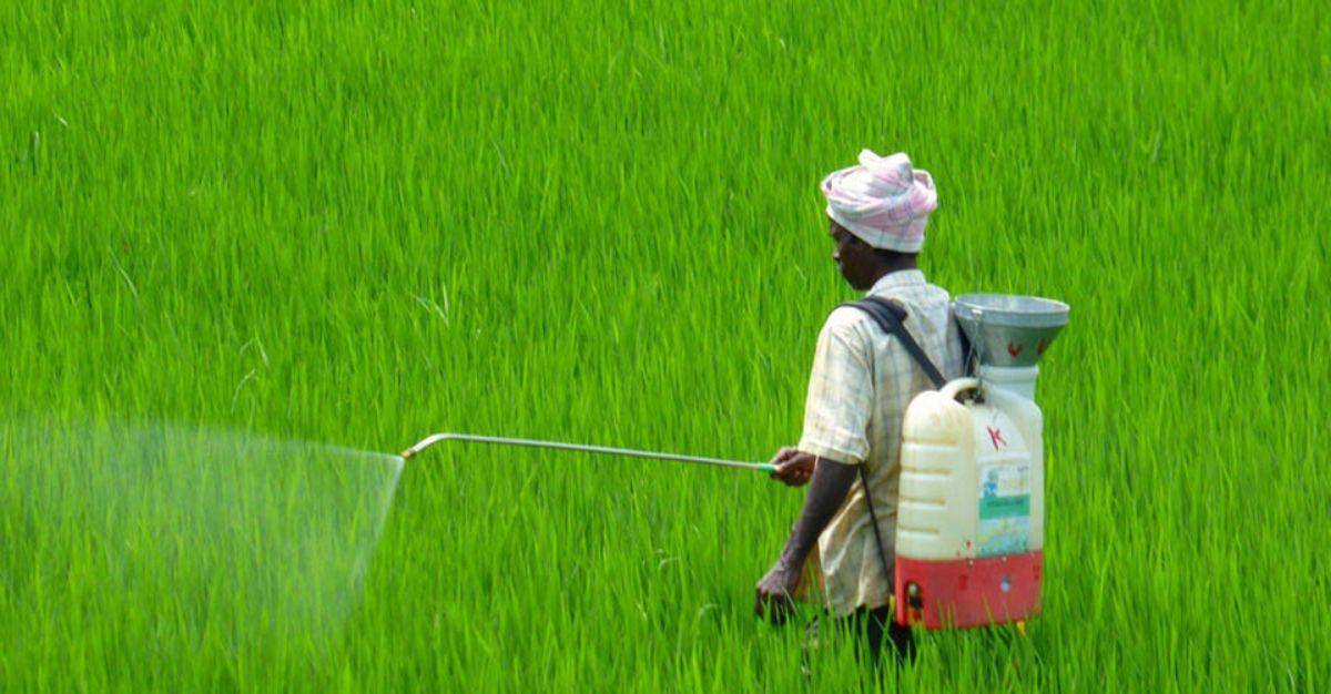 Micro-cap agrochemical company received a domestic order worth Rs 12,04,60,000