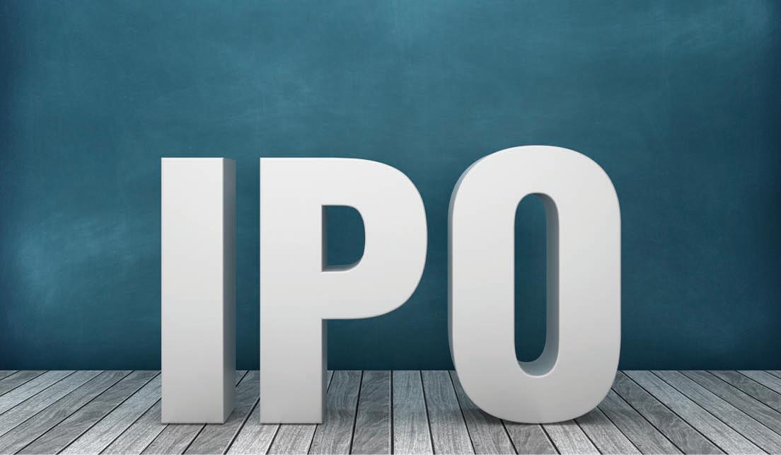 IPOs: Quick Gains or Long-Term Game?