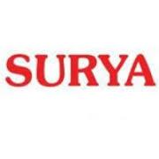 Surya Roshni bags new order, stock reacts positively