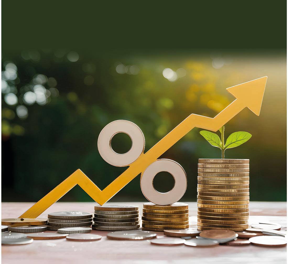 Value Funds: Bargain or Value Trap?