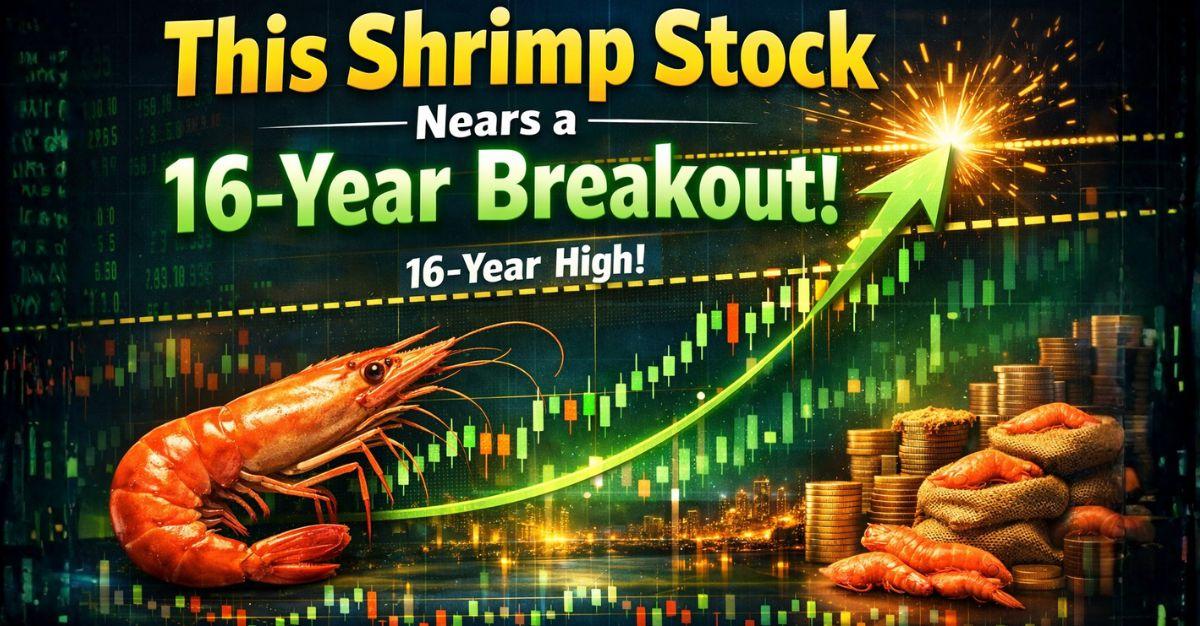 16-Year Breakout Stock: Missed Rally in Avanti Feeds? This Shrimp Stock Nears a 16-Year Breakout