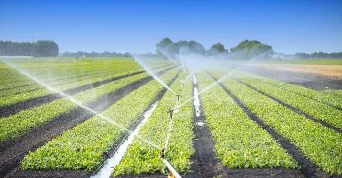 R M Drip & Sprinklers Systems Announces Strategic Entry into Smart Irrigation Automation Starting March 2026