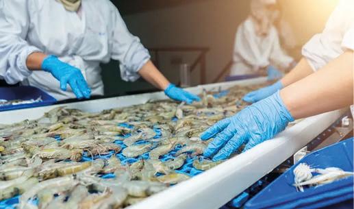 Avanti Feeds: Growth Beyond Trade-Driven Gains