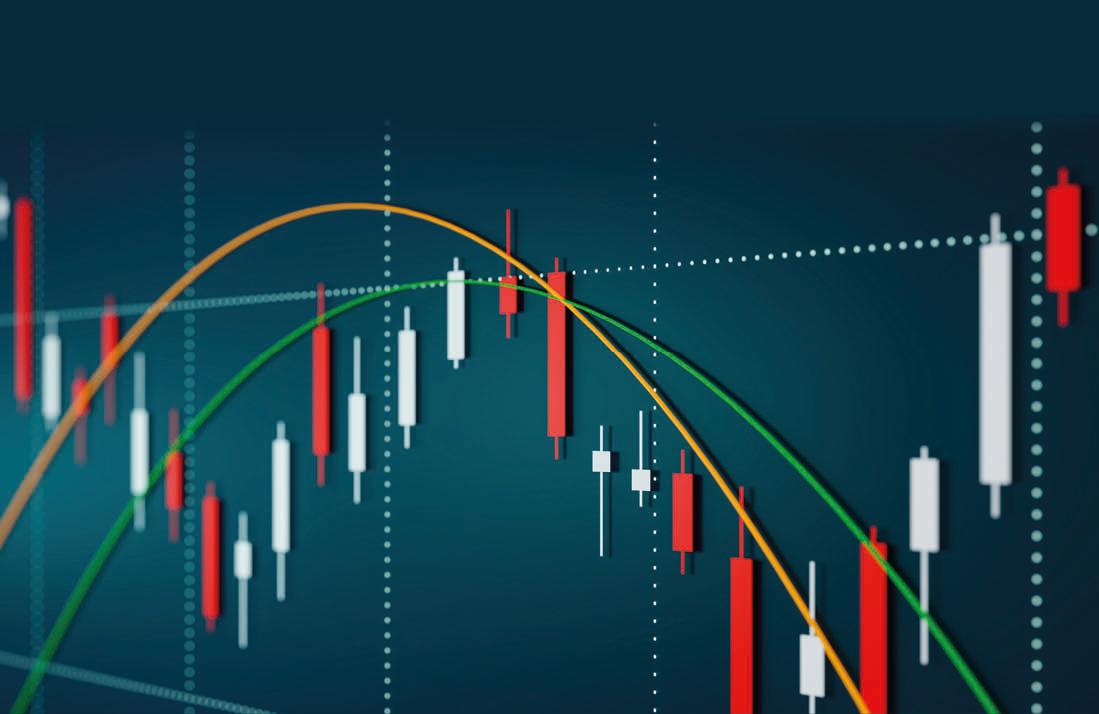 Large-Caps in Uncertain Times